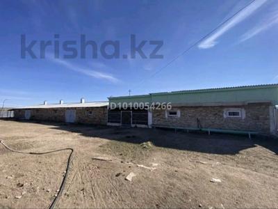 Сельское хозяйство · 6500 м² за 160 млн ₸ в Карагандинской обл., Актогай