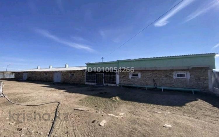 Сельское хозяйство · 6500 м² за 160 млн ₸ в Карагандинской обл., Актогай — фото 2