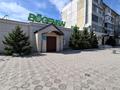 Кеңселер, ойын-сауық · 317.8 м², бағасы: 155 млн ₸ в Экибастузе