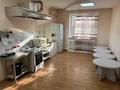 Свободное назначение, офисы, магазины и бутики, общепит · 530 м² за 200 млн ₸ в Астане, Алматы р-н — фото 35