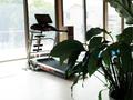 Отдельный дом · 6 комнат · 750 м² · 22.8 сот., мкр Горный Гигант — Оспанова за 700 млн ₸ в Алматы, Медеуский р-н — фото 17