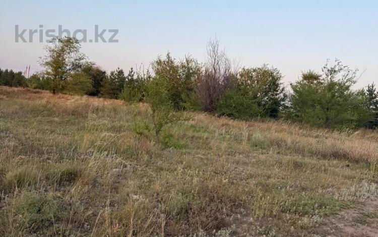 Участок · 10.5 соток, Тр, Костанай-Аулиеколь-Сурган 586 за 11 млн ₸ в Мичуринское — фото 2