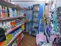 Отдельный дом · 4 комнаты · 400 м² · 5 сот., Курмангазы 1 — Жиберина за ~ 56 млн ₸ в Трекино — фото 14