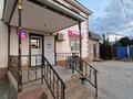 Отдельный дом · 4 комнаты · 400 м² · 5 сот., Курмангазы 1 — Жиберина за ~ 56 млн ₸ в Трекино — фото 33