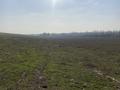 Участок · 6 га, мкр Бадам-1 7 за 6.5 млн ₸ в Шымкенте, Енбекшинский р-н — фото 7