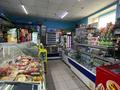 Магазины и бутики • 80 м² за 35 млн 〒 в Петропавловске — фото 9