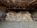 Сельское хозяйство, бани, гостиницы и зоны отдыха · 2000 м² за ~ 1.1 млрд ₸ в Умбетали — фото 23