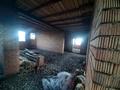 Отдельный дом · 5 комнат · 250 м² · 10 сот., Жарылқап 55 — Школа 34 за 25 млн ₸ в Туркестане — фото 7