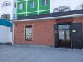 Дүкендер мен бутиктер · 160 м², бағасы: 29 млн ₸ в  — фото 2