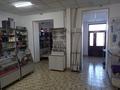Дүкендер мен бутиктер · 160 м², бағасы: 29 млн ₸ в  — фото 17
