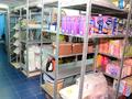 Магазины и бутики • 278 м² за 153 млн 〒 в Павлодаре — фото 12