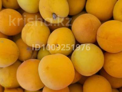 Саяжай · 4 бөлме · 100 м² · 20 жүзд., Көктем ш/а., Садовод 1, бағасы: 35 млн ₸ в Атырау, мкр Коктем