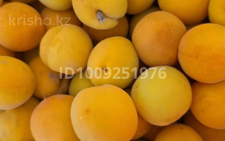 Саяжай · 4 бөлме · 100 м² · 20 жүзд., Көктем ш/а., Садовод 1, бағасы: 35 млн ₸ в Атырау, мкр Коктем — фото 2