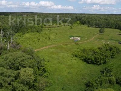 Участок · 3 га, Щучинск за 150 млн ₸