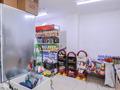 Свободное назначение, магазины и бутики, общепит · 107 м² за 150 млн ₸ в Астане, Алматы р-н — фото 10