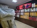 Еркін · 55 м², бағасы: 35 млн ₸ в Астане, Есильский р-н — фото 2