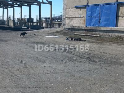 Промбаза · 2 га, улица Би Боранбая 13 за 1 000 ₸ в Семее