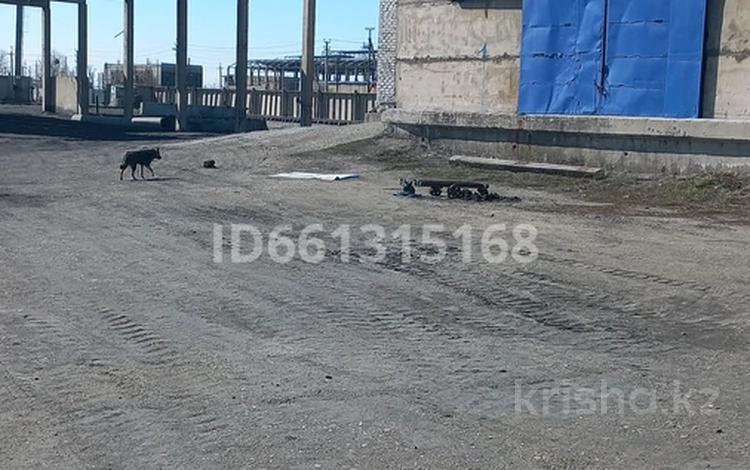 Промбаза · 2 га, улица Би Боранбая 13 за 1 000 ₸ в Семее — фото 12