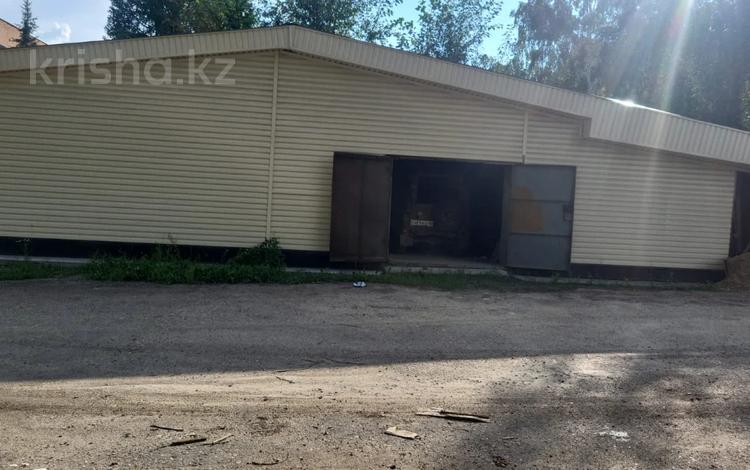 Свободное назначение, офисы, магазины и бутики, склады · 122 м² за 25 млн 〒 в Риддере — фото 7