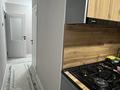 2-комнатная квартира · 50 м², Айбергенова 1 б — Джангельдина за 170 000 ₸ в Шымкенте, Аль-Фарабийский р-н — фото 4