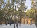 Монша, қонақ үй және демалыс орындары · 165 м², бағасы: 89 млн ₸ в Бурабае — фото 2