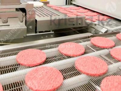 Производство и сбыт продукции по области · 973 м² за 300 млн ₸ в Петропавловске