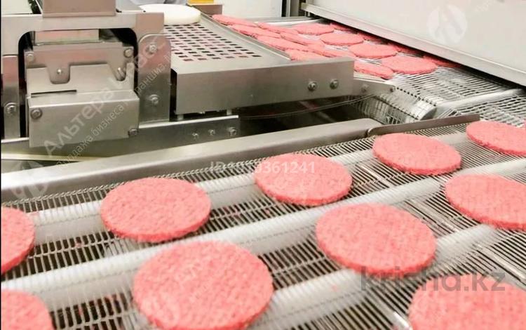Производство и сбыт продукции по области · 973 м² за 300 млн ₸ в Петропавловске — фото 5