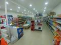 Магазины и бутики • 250 м² за 70 млн 〒 в Алматы, Наурызбайский р-н — фото 12