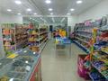 Магазины и бутики • 250 м² за 70 млн 〒 в Алматы, Наурызбайский р-н — фото 13