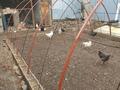 Отдельный дом · 4 комнаты · 90 м² · 7 сот., Жамбыла 32д — Возле базара Абай Жанар за 23 млн ₸ в Узынагаш — фото 2