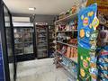 Действующий бизнес с домом · 100 м² за 89 млн ₸ в  — фото 8