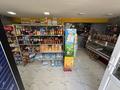 Действующий бизнес с домом · 100 м² за 89 млн ₸ в  — фото 9