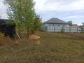Участок · 10 соток, Ул. Пушкина за 7.5 млн ₸ в Щучинске — фото 8
