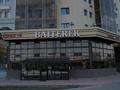 Бани, гостиницы и зоны отдыха · 462.2 м² за 600 млн ₸ в Астане, Есильский р-н — фото 2
