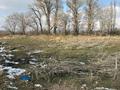 Участок · 160 соток, Каскелен за 250 млн ₸