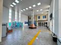 Высший медицинский колледж Тараз-Болашак · 5869.9 м² за 2.5 млрд ₸ — фото 14
