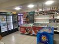 Магазины и бутики • 100 м² за 70 млн 〒 в Усть-Каменогорске — фото 11