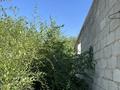 Участок · 6 соток, Карасай, Ынтымак 10 за 8 млн ₸ в Алматинской обл. — фото 7