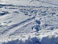 Участок · 11 соток, мкр 5 41 — Гипер Анвардын арты за 6 млн ₸ в Актобе — фото 9
