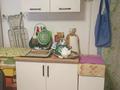 1-комнатная квартира · 15.5 м² · 4/5 этаж, Ауэзова — Абая за 16 млн ₸ в Алматы, Алмалинский р-н — фото 2