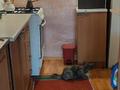 Часть дома · 3 комнаты · 45 м² · 2 сот., мкр 13-й — Магазин Арлан за 200 000 ₸ в Алматы, Алатауский р-н — фото 4