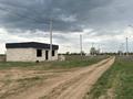 Отдельный дом · 4 комнаты · 100 м² · 8 сот., 3-ая за 14 млн ₸ в Круглоозерном — фото 24