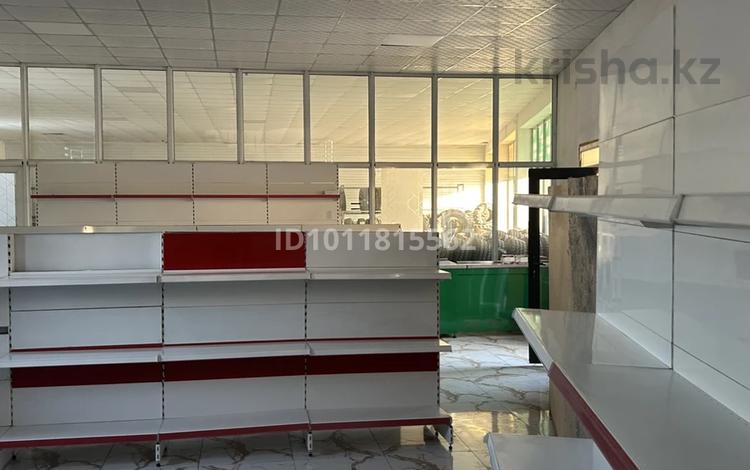 Еркін · 160 м², бағасы: 100 000 ₸ в Шымкенте, Абайский р-н — фото 12