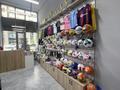 Действующий бизнес - магазин спортивных детских товаров, 110 м², бағасы: 24 млн 〒 в Астане, Нура р-н — фото 8