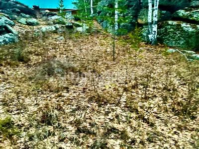 Участок · 12 соток, Новая Бухтарма за 7.9 млн 〒