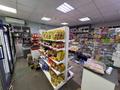 Магазины и бутики · 50 м² за ~ 19 млн ₸ в Усть-Каменогорске — фото 7