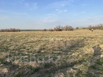 Участок · 21 га, Шелек за 15 млн ₸