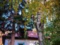 Отдельный дом · 3 комнаты · 70 м² · 25 сот., Лесная 4 за 13.5 млн ₸ в  — фото 9