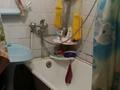 2-бөлмелі пәтер · 44 м² · 5/5 қабат, Богенбай батыра 272 — Жарокова, бағасы: 29.5 млн ₸ в Алматы, Алмалинский р-н — фото 4