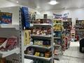 Отдельный дом · 6 комнат · 350 м² · 8 сот., Абдирова 47 — Абая улица за 100 млн ₸ в Жезказгане — фото 60